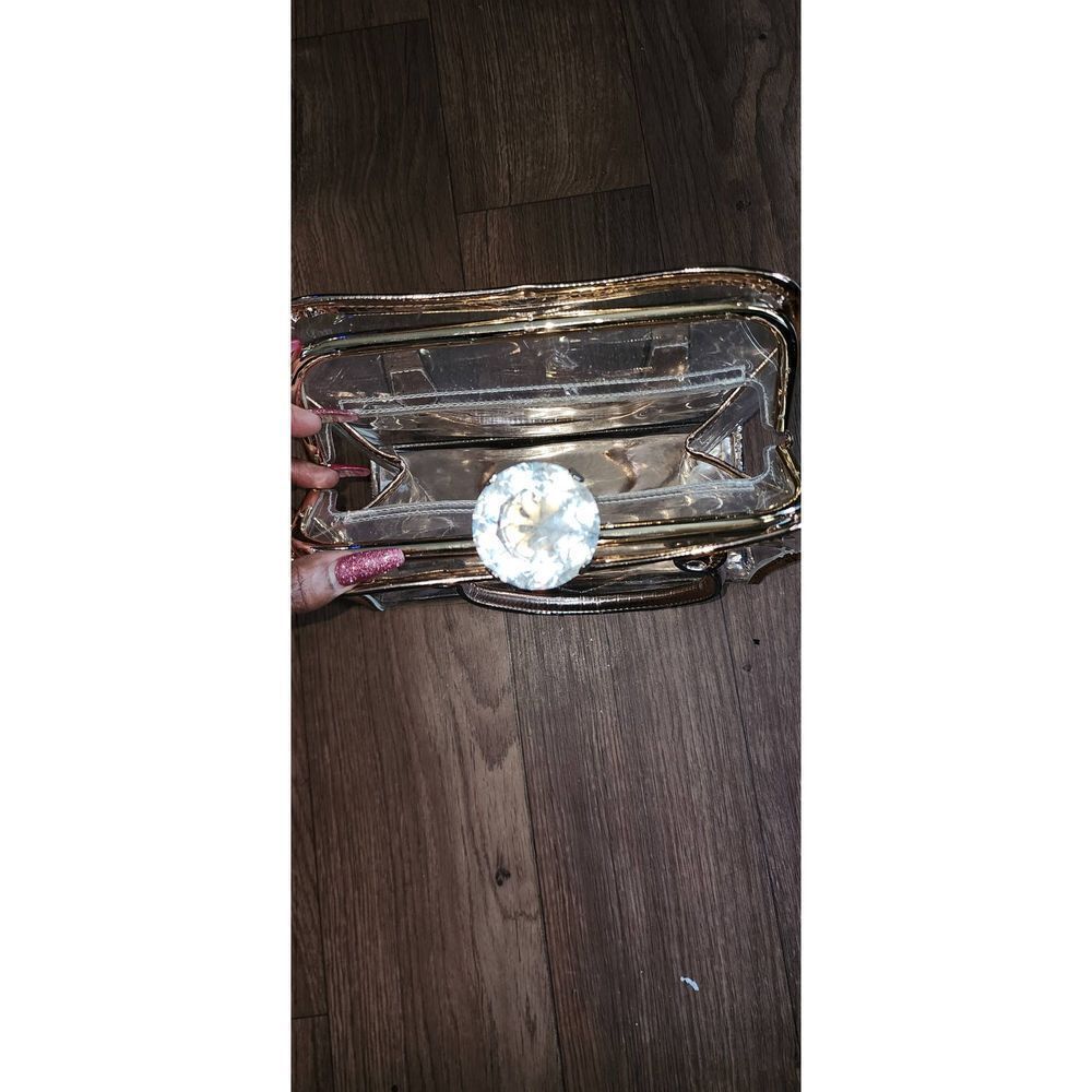 Metallic and Clear Satchel